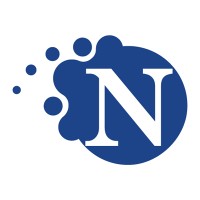 Nemesys ICT Groep Logo
