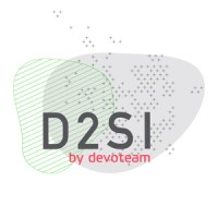 D2SI Logo