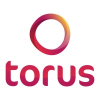 Torus Logo
