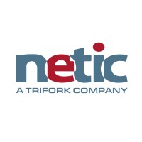Netic Logo