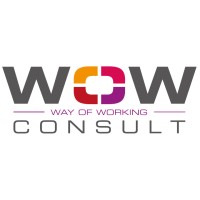 WoW-consult Logo