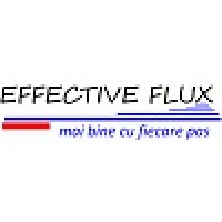Effective Flux SRL Logo
