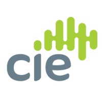 CIE-Group Logo