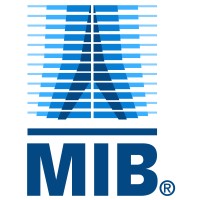MIB ITALIANA SPA Logo