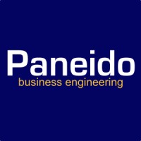 Paneido - business engineering Logo