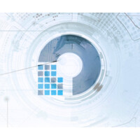 The National Cybersecurity Society Logo