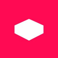 Netvlies (part of 4NG) Logo