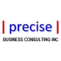 Precise Business Consulting Inc. Logo