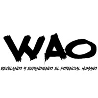 WAO Coaching & Consulting Logo