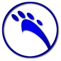 Blue Paw Dynamics Logo