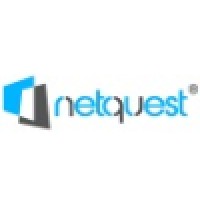 NETQUEST ® Professional Services Logo