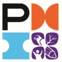 PMI Amazônia Chapter Logo