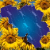 Solar-Future / JC Invest NV Logo