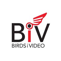 BirdsiVideo Logo