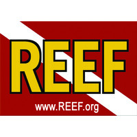 Reef Environmental Education Foundation Logo