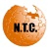 Network Thinking Consulting Logo