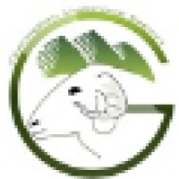Georgian LiveStock Export LTD Logo