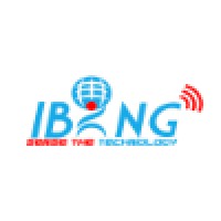 IBing Software Solutions Private Limited Logo