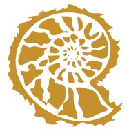 The Stone Collection Logo