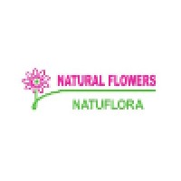 NATURAL FLOWERS, INC Logo
