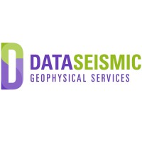 DataSeismic Geophysical Services Logo