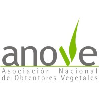 ANOVE Logo