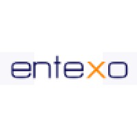 Entexo Solutions Logo
