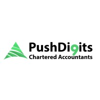 Push Digits Chartered Accountants Logo
