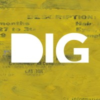 DIG Logo