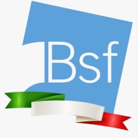 BSF Srl Logo