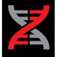 Digital Immunity Logo