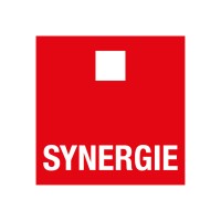 Synergie Logo
