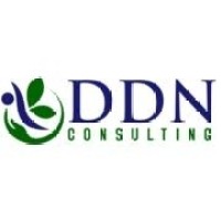 DDN Consulting Services, LLC Logo