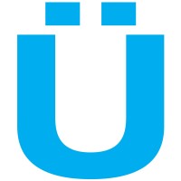 VIZUSOLUTION Inc. Logo