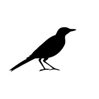 NoMoreNoise Logo