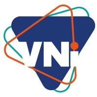 VNI Consultoria Empresarial Logo