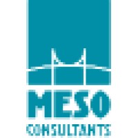 MeSo Logo