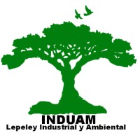 INDUAM Ltda Logo