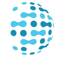 Network Technology Partners Logo