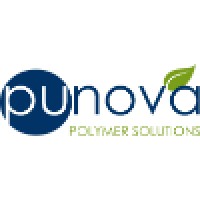 Punova R&D and Chemicals Inc. Logo