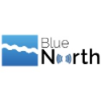 Blue North Denmark Logo