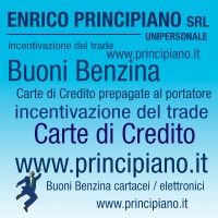 Enrico Principiano Srl Unipersonale Logo
