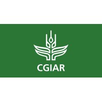 CGIAR | Climate-smart agriculture Logo