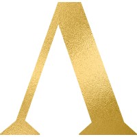 ANY EVER GmbH & Co. KG Logo