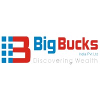 Big Bucks India Private Limited Logo