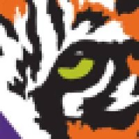 Tigervision Logo