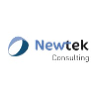 Newtek Consulting Logo