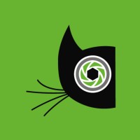 Angular Rentals Logo