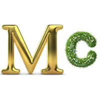 MONTAIGNE CONSEIL Logo