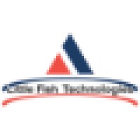 Little Fish Technologies Logo